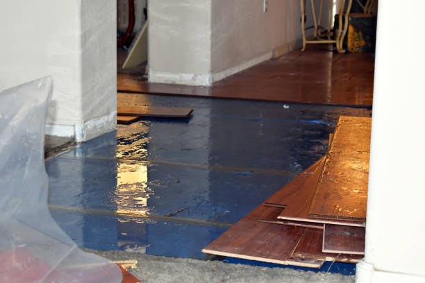 Professional Burst Pipe Cleanup technician working in Leesburg, OH